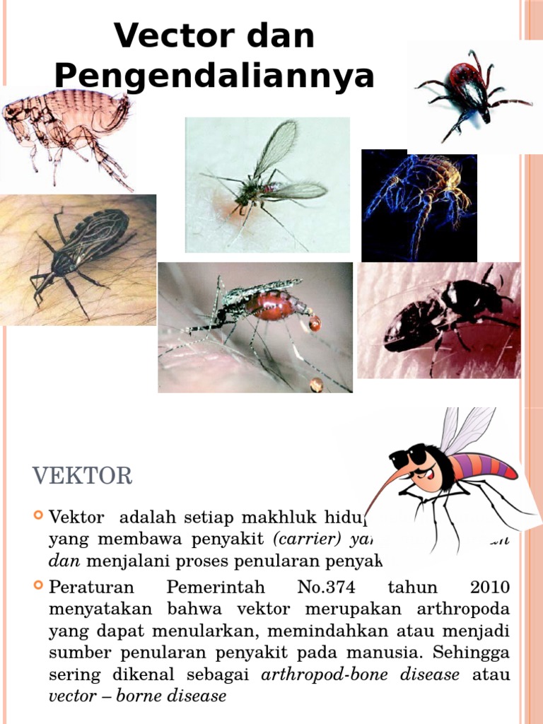 Vektor | PDF | Sains & Matematika
