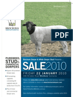 Dorper Auction Flyer 1