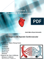 Generalidades Sistema Cardiovascular