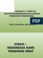 Presentasi Peran dan Fungsi Sentra P3T dlm Pengembangan Yankestrad_Prof. Amri Amir.pptx