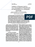 Biosynthesis of Glutamic Acid in Saccaromyces.pdf