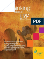 Thinking About ERP (2009)