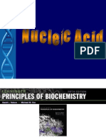 BS - Nucleic Acid