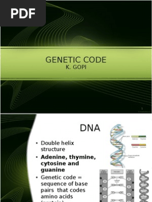 The Genetic Code Rna And The Genetic Code Mcat