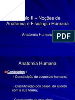 Noções Basicas de Anatomia