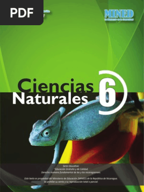 Libro De Texto De Ciencias Naturales 6to Grado Mined Edicion En Pdf 2014 Cerebro Testiculo