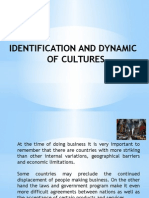 Identification and Dynamic of Cultures