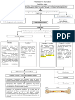 Fundamentos Del Hueso