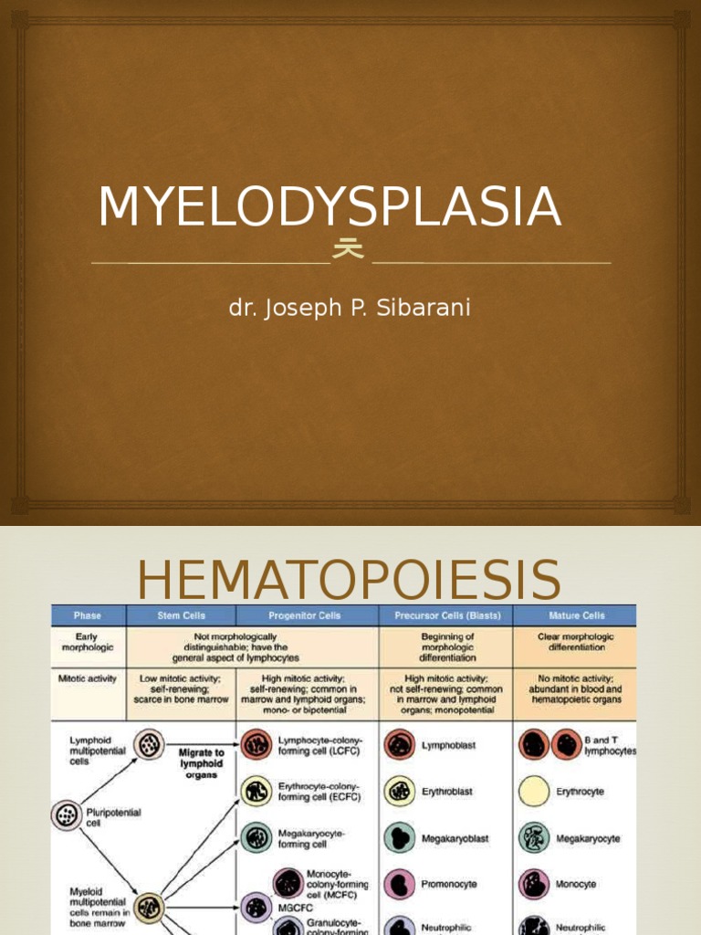 Myelodysplasia PDF Leukemia Diseases And Disorders