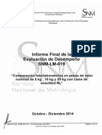 Informe Final SNM LM 019