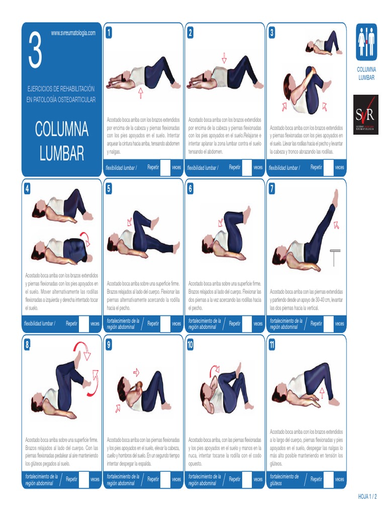 ejercicios-para-fortalecer-la-columna-lumbar-pdf-t-rminos