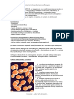 Carafungoscterísticas Gerais Dos Fungos - RESUMO