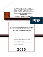 INFORME #6 - BACILLARIOPHYCEAE