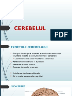 CEREBELUL Actual Decembrie 2014 (1)