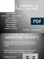 Campul Magnetic