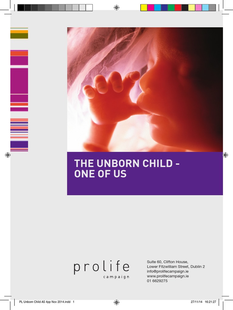 Pro Life Campaign Unborn Child Leaflet 2015 | PDF