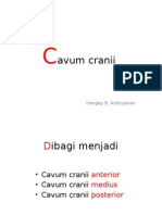 Cavum cranii st 1.pptx