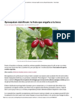 Synsepalum Dulcificum - La Fruta Milagrosa Que Engaña A Tu Boca