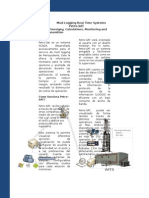 Cromatografia y Espectrometria de Gase-Mud Logging Real Time Systems