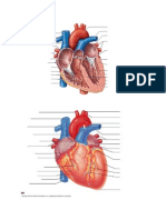 Heart Pics