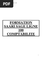 Download Formation Saari Sage Comptabilite Ligne 100 by Driss Benomar SN270417222 doc pdf