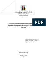 Evaluación económica cultivo lavanda Pucón