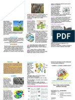 Politica de Uso Del Medio Ambiente y Reciclaje