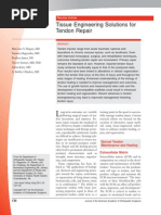Download Tissue Engineering Solutions for Tendon Repair by Martin Silvas SN270441547 doc pdf