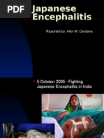 Download Japanese Encephalitis by amc291973 SN27044371 doc pdf