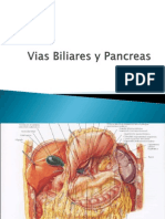 Vias Biliares y Pancreas