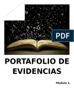 SNFV Portafolio