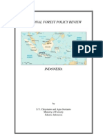 National Forest Policy Review-Indonesia