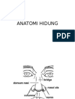 Anatomi Hidung