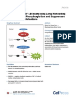 A Cytoplasmic NF-KB Interacting Long