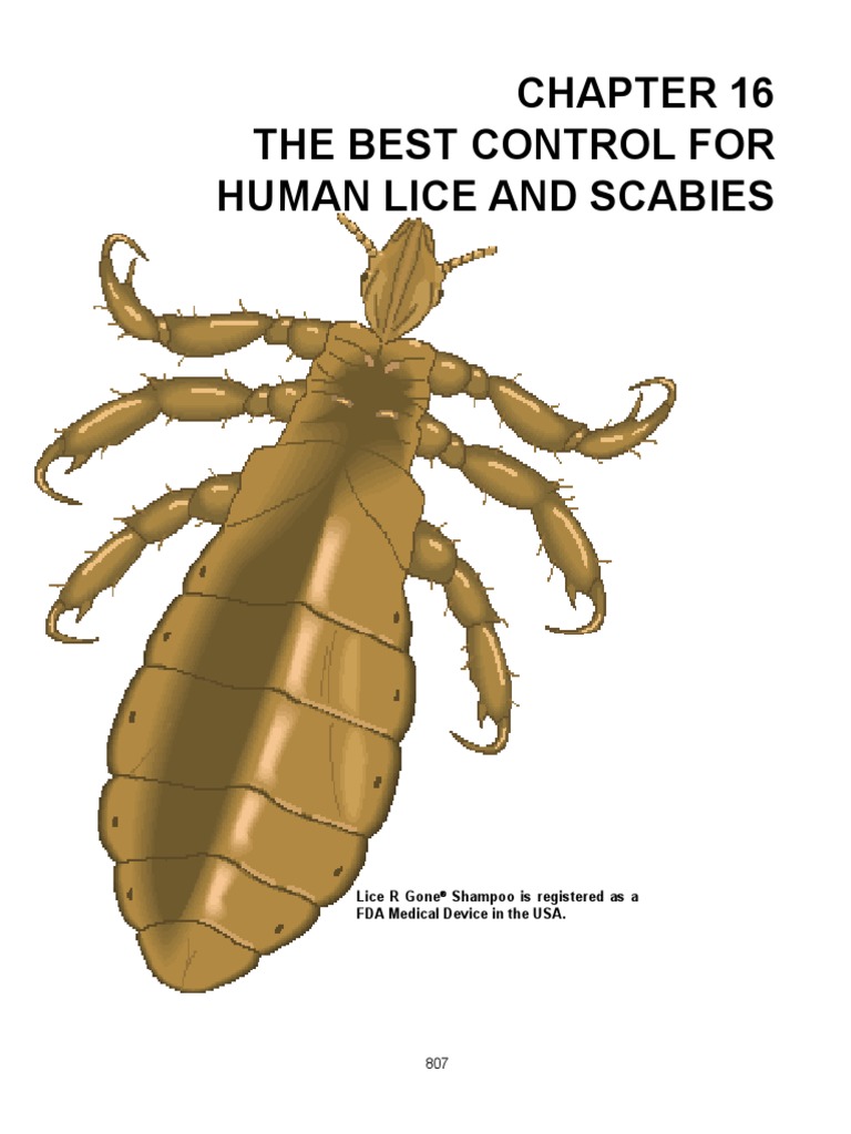 16 Lice & Scabies Wellness Nature
