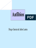 Anfibios.pdf