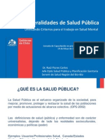 Salud Publica - Mental. Dr. Raul Flores SEREMI