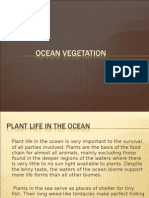 Ocean Vegetation
