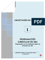 Programacion Curricular en Eba PDF