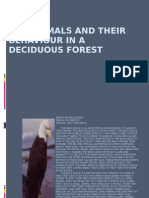 deciduousforest_animals
