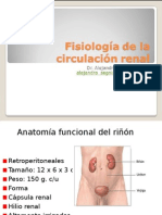 Fisiologia Renal