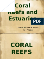 Coral Reefs and Estuaries 2