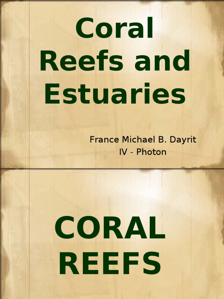 Coral Reefs and Estuaries Overview | PDF | Coral Reef | Coral