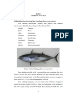 Download Tinjauan Pustaka Ikan Cakalang by Nugroho Resty Kazuki SN270530577 doc pdf