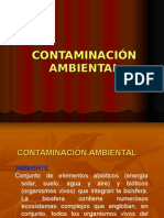 6-CONTAMINACIÓN AMBIENTAL