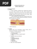 Download Laporan Pendahuluan Hernia Doc by Reza Syahbandi Jasma Wijaya SN270552975 doc pdf