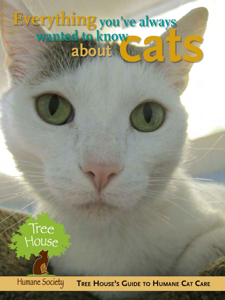 The Cat Care Guide | PDF | Cats | Kitten