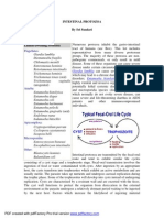 Intestinal Protozoa