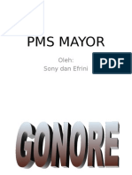 Pms Mayor
