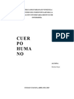 Cuerpo Humano